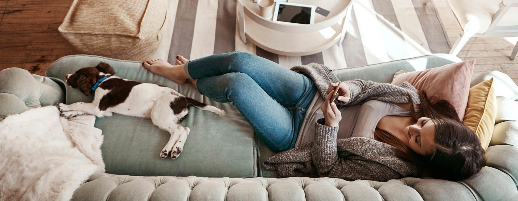 overhead view of  a woman texting as she lies on a couch with a dog at her feet